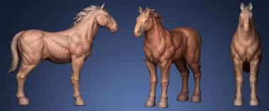 3D мадэль Боевой конь (STL)